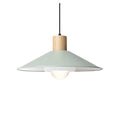 标题波兰语：**Lampa wisząca z zielonym kloszem i drewnianym uchwytem**